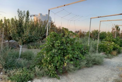 فروش زمین باغچه تهران ۱۴۰ متر اسلامشهر گلدسته روستای ترشنبه