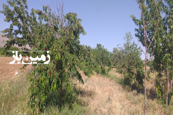 فروش باغ مرکزی با 1000 متر زمین محلات روستای عیسی آباد-2