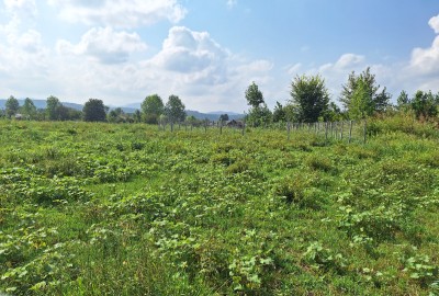 فروش زمین کشاورزی باغ گیلان ۳۰۰ متر سنگر روستای قاضیان خیابان فکوری