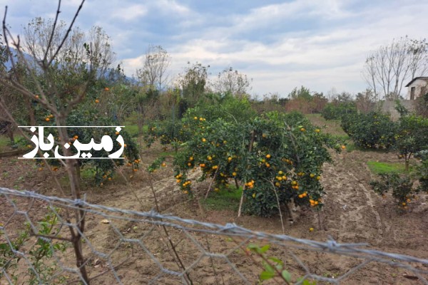 فروش زمین کشاورزی گلستان ۱۰۰۰ متر بندرگز روستای لیوان غربی-2