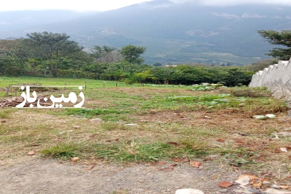 فروش زمین مسکونی تجاری گیلان ۲۴۰ متر رحیم آباد جاده اشکور روستای نیلو-4