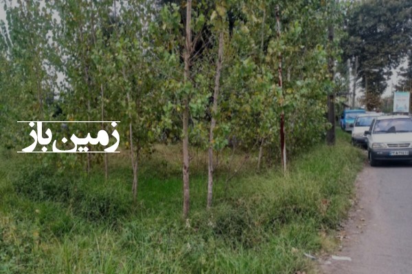 فروش زمین تجاری مسکونی گیلان ۲۴۰ متر سنگر خیابان پورقلی-2