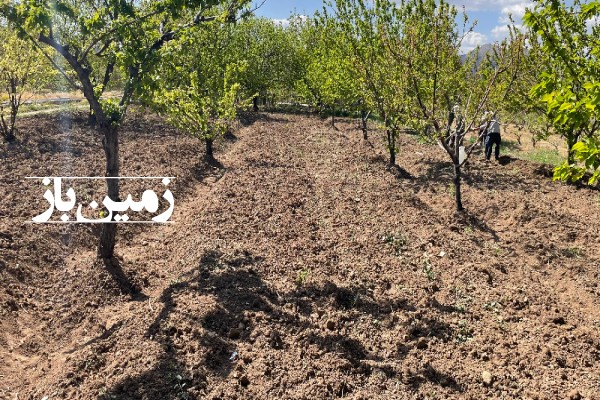 فروش زمین کشاورزی باغی لرستان ۱۰۰۰ متر منطقه کمالوند-1