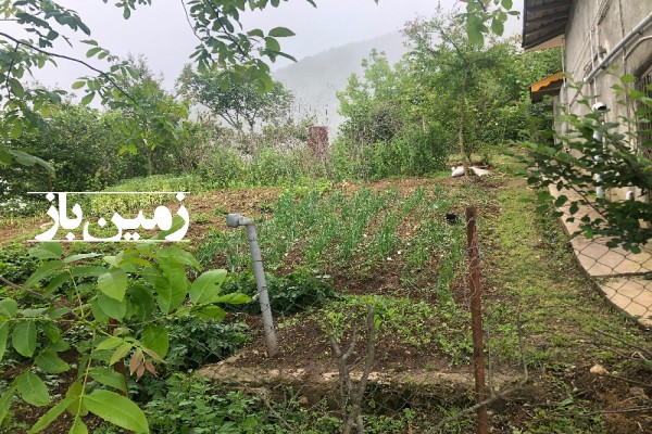 فروش زمین باغ مسکونی رحیم آباد ۹۲۳۸ متر سفیدآب روستای نیلو-3