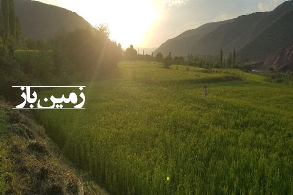 فروش زمین مسکونی کشاورزی الموت شرقی ۴۰۰۰ متر روستای سفیددر-2