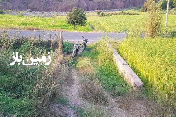 فروش زمین مسکونی کشاورزی الموت شرقی ۴۰۰۰ متر روستای سفیددر-3