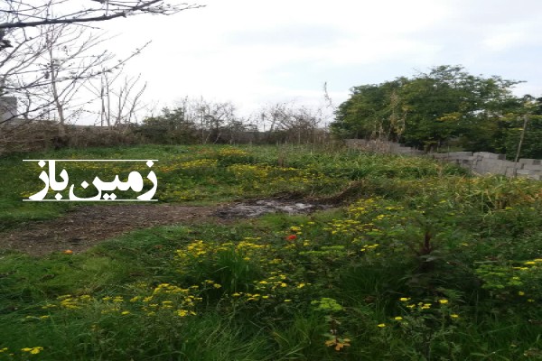 فروش زمین مسکونی شمال ۱۰۰۰ متر جاده ساری به جویبار روستای عیسی خندق-1