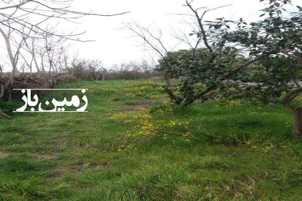 فروش زمین مسکونی شمال ۱۰۰۰ متر جاده ساری به جویبار روستای عیسی خندق-2