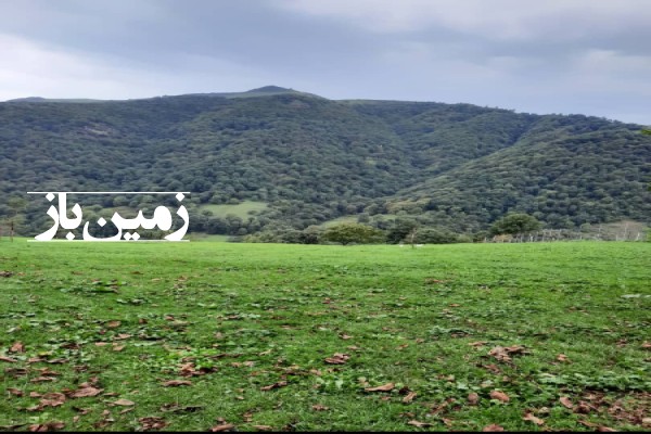 فروش زمین کشاورزی مسکونی ۱۵۲۸ متر آستارا گردنه حیران روستای گیلده-2