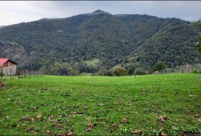 فروش زمین کشاورزی مسکونی ۱۵۲۸ متر آستارا گردنه حیران روستای گیلده