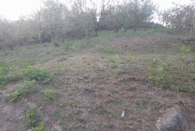 فروش زمین باغی گیلان ۱۰۴۸ متر خطبه سرا ‌روستای انبوه مشایخ