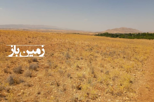 فروش زمین باغ فارس ۱۰۰۰ متر شیراز روستای کودیان-3