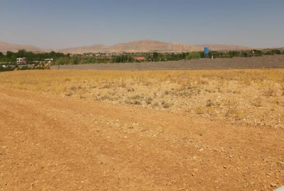 فروش زمین باغ فارس ۱۰۰۰ متر شیراز روستای کودیان