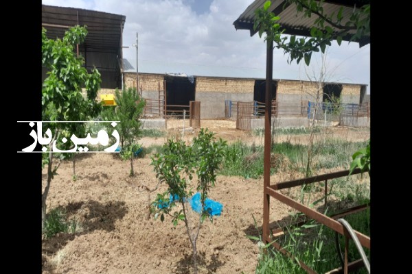 فروش زمین گاوداری قزوین ۳۶۰۰ متر بوئین زهرا روستای سخص آباد-2