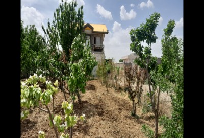 فروش زمین گاوداری قزوین ۳۶۰۰ متر بوئین زهرا روستای سخص آباد