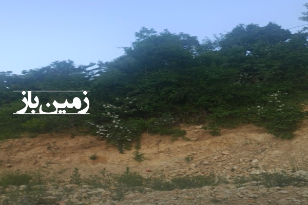 فروش زمین باغ فارس ۱۷۰ متر سپیدان روستای کهکران-2