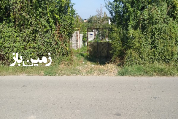 فروش زمین باغی شمال ۲۰۱ متر قائمشهر روستای ساروکلا-4