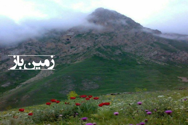 فروش زمین شمال ۸۶۹ متر جاده هراز دلارستاق روستای تینه-2