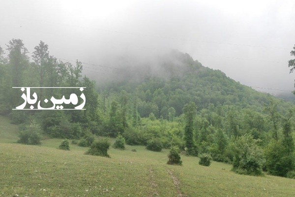 فروش زمین شمال ۸۰۰ هکتار نوشهر کجور روستای لشکنار-2