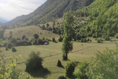 فروش زمین شمال ۸۰۰ هکتار نوشهر کجور روستای لشکنار