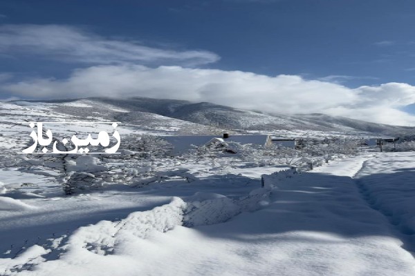 فروش زمین جنگلی شمال ۸۰۰۰ متر نوشهر کجور روستای لشکنار-3