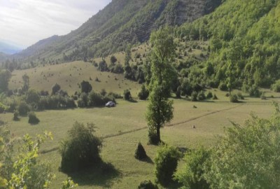 فروش زمین جنگلی شمال ۸۰۰۰ متر نوشهر کجور روستای لشکنار