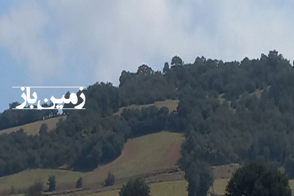 فروش زمین شمال ۳۰۰۰ متر کیاسر روستای کیاده-1