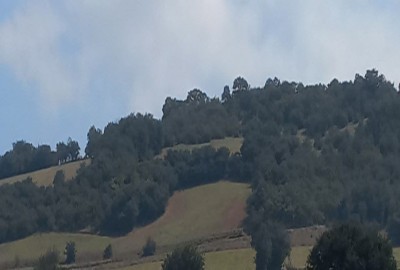 فروش زمین شمال ۳۰۰۰ متر کیاسر روستای کیاده