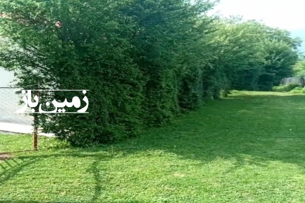 فروش زمین مسکونی شمال ۱۲۰۰ متر کیاسر جنگلی-3