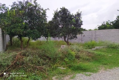 فروش زمین مسکونی شمال ۱۹۱ متر بابل مرزون آباد درویش خیل