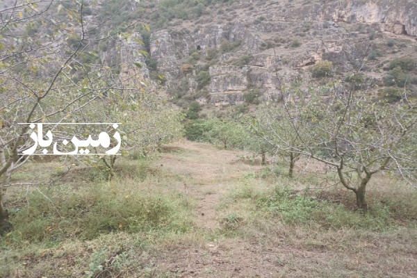 فروش زمین باغ کشاورزی شمال ۴۰۰ متر چالوس روستای ناصرآباد-2