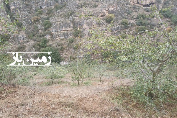 فروش زمین باغ کشاورزی شمال ۴۰۰ متر چالوس روستای ناصرآباد-3