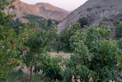 فروش باغچه با ۵۰۰ متر زمین تهران روستای وردیج