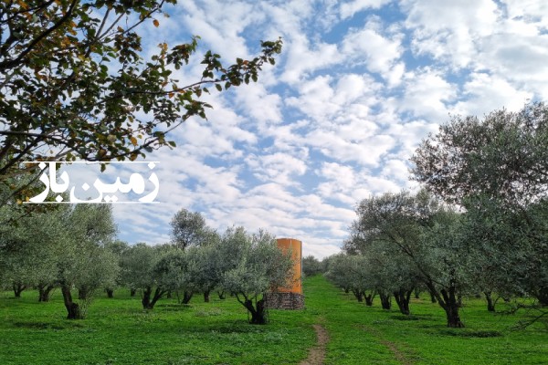 فروش زمین باغ گلستان ۱ هکتار گرگان بعد روستای گلند تاریکی-4