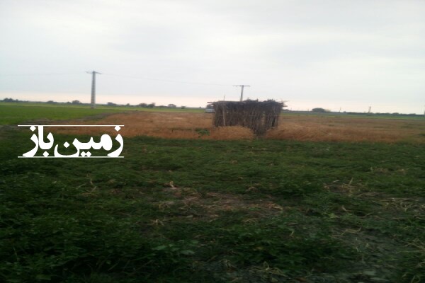 فروش زمین کشاورزی گلستان 4000 متر گرگان روستای حیدرآباد-1