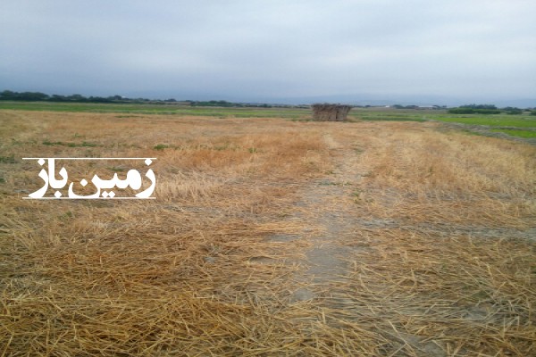 فروش زمین کشاورزی گلستان 4000 متر گرگان روستای حیدرآباد-2