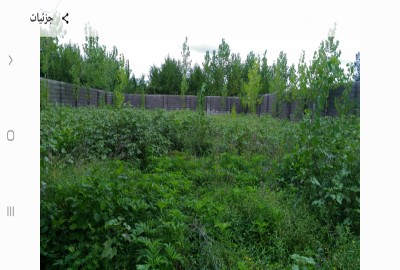 فروش زمین باغ مسکونی گیلان ۱۳۵۹ متر فومن روستای گران