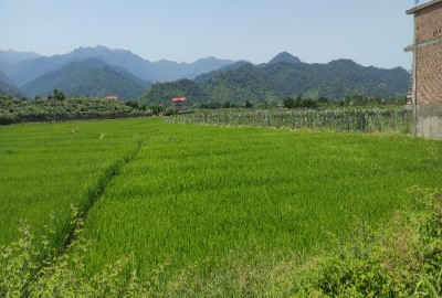 فروش زمین گیلان ۳۰۰۰ متر نرسیده به آستارا روستای لمیر