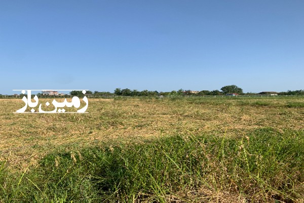 فروش زمین کشاورزی باغ گیلان ۱۷۰۰ متر تالش روستای جماکوه-2