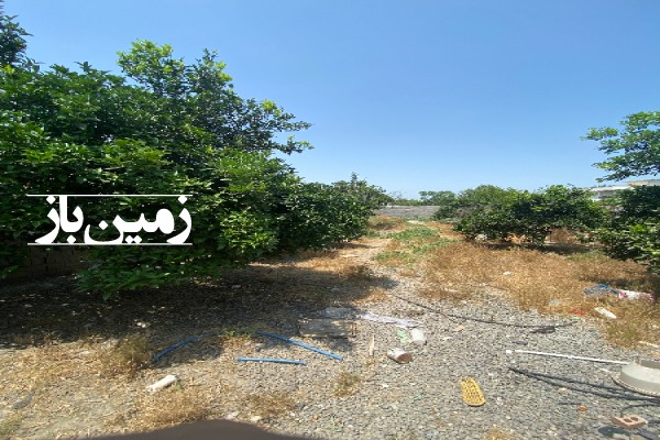 فروش زمین باغی شمال ۱۰۰۰ متر بابل کیاکلا روستای کپورچال-2