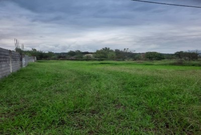 فروش زمین مسکونی گیلان ۷۶۰ متر رشت روستای سقالکسار