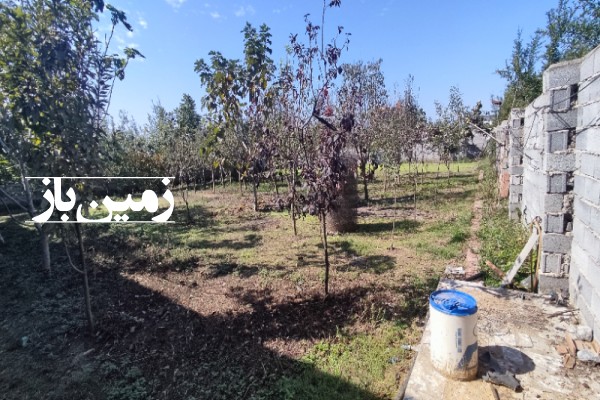 فروش زمین مسکونی شمال ۷۰۰ متر بابل روستای بالابیشه سر-3