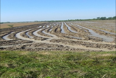 فروش زمین کشاورزی شمال ۱۵۰۰ متر ساری روستای خارمیان