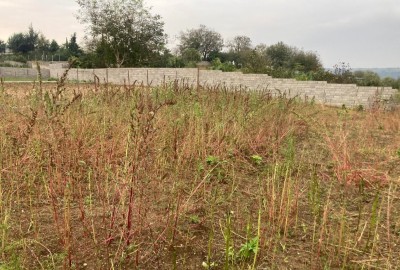 فروش زمین گلستان ۷۳۰ متر گرگان روستای یالو