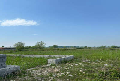 زمین مسکونی در شمال ۲۴۵ متر روستای خوریه