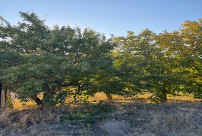 فروش زمین باغ تهران ۱۰۰۰۰ متر فیروزکوه امیریه