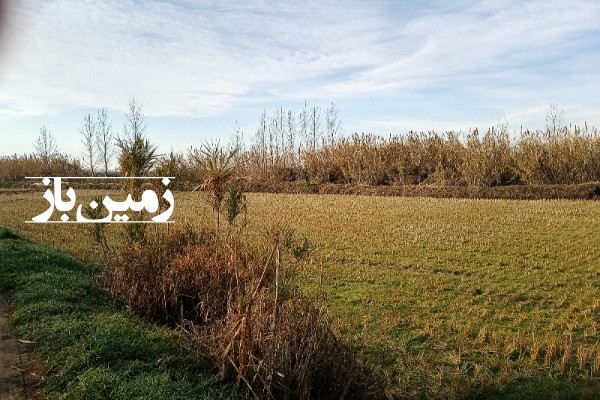 فروش زمین کشاورزی شمال ۲۶۵۰ متر فریدون‌ کنار روستای بی نمد-2