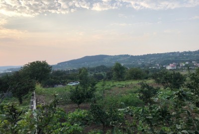 فروش زمین باغ شمال ۵۰۰ متر ساری روستای پایین کولا