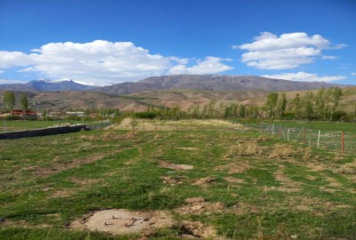 فروش زمین باغ البرز ۱۲۶۰ متر طالقان روستای جزن