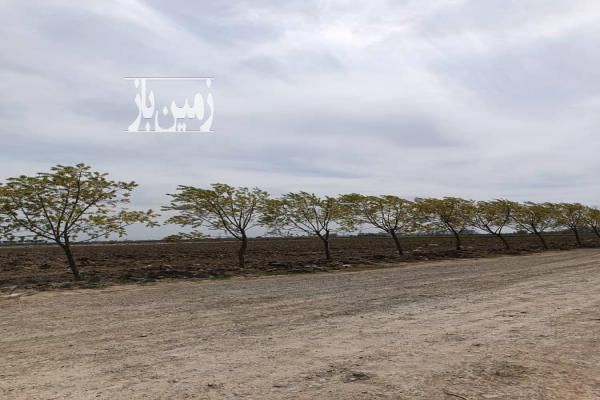فروش زمین باغ تهران ۶۹۰ متر شهریار دهشاد بالا-1